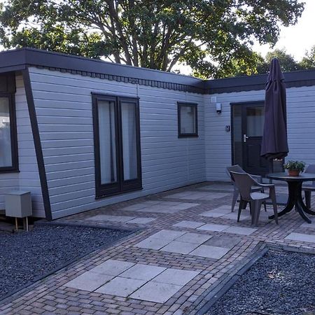 Chalet Op De Veluwe # Berk Villa Putten Ngoại thất bức ảnh