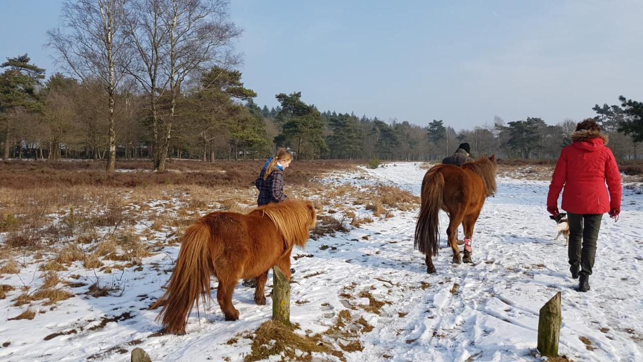 Chalet Op De Veluwe # Berk Villa Putten Ngoại thất bức ảnh